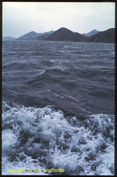 CHILI_Patagonie_20