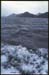 CHILI_Patagonie_20