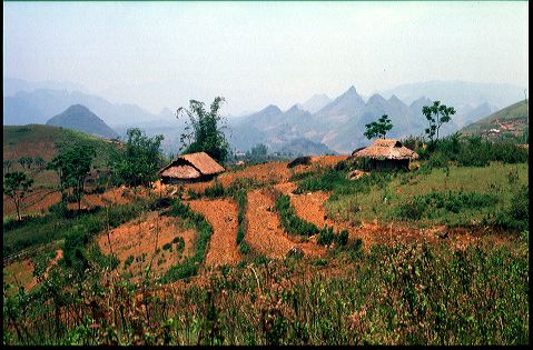 viet2004-04_028.jpg