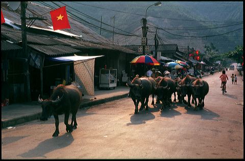 viet2004-04_033.jpg