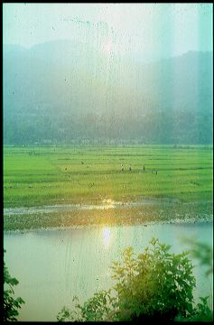 viet2004-04_036.jpg
