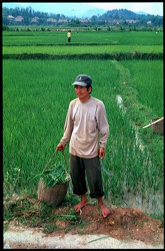 viet2004-04_064.jpg