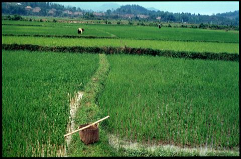 viet2004-04_066.jpg