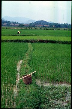 viet2004-04_067.jpg