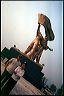 viet2004-04_082